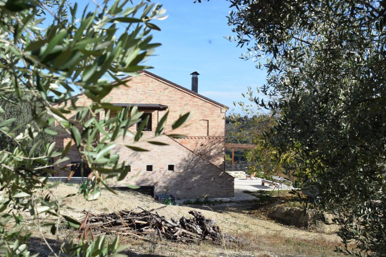 Monna Terra Fermo