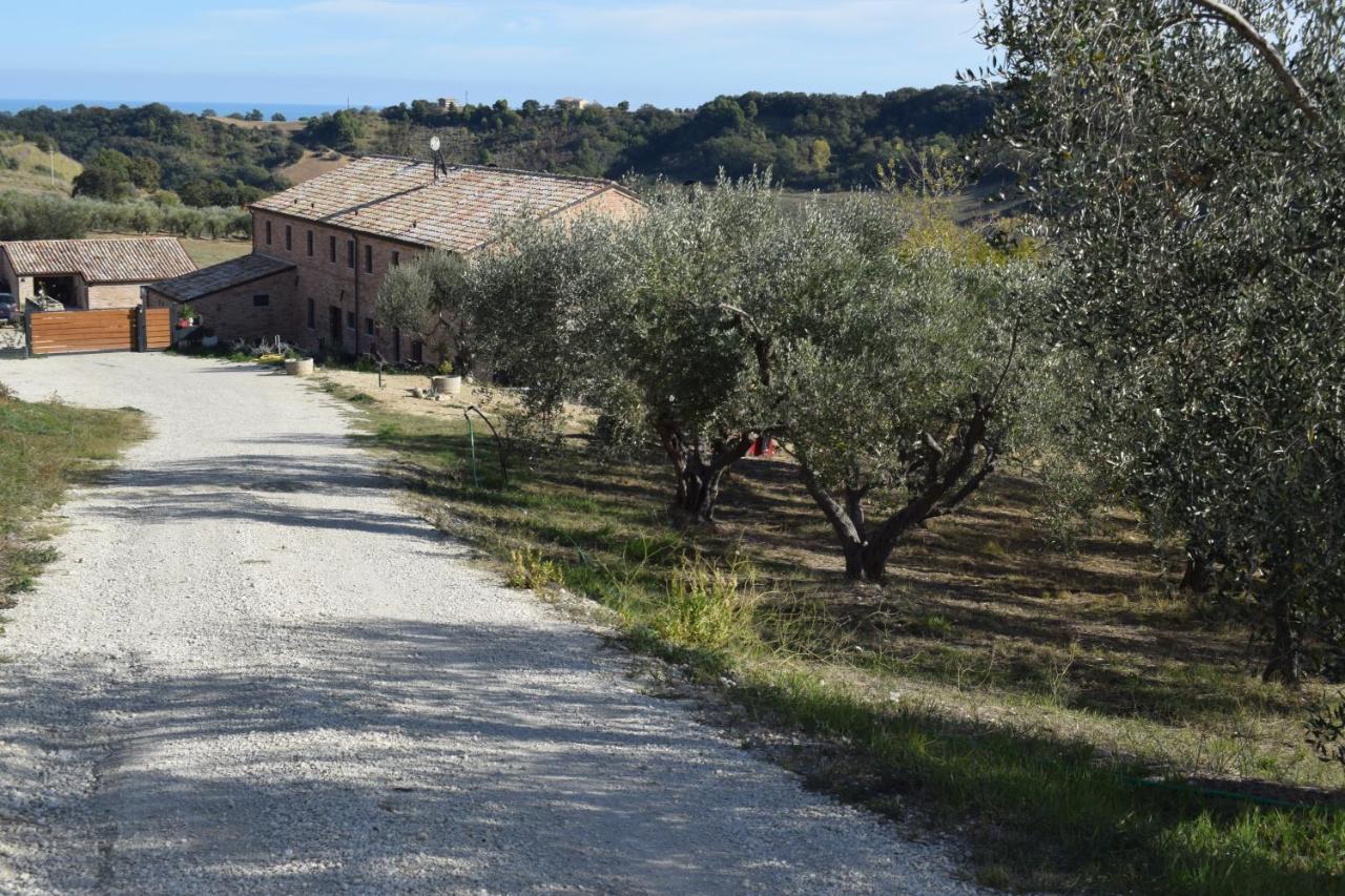 Monna Terra Fermo